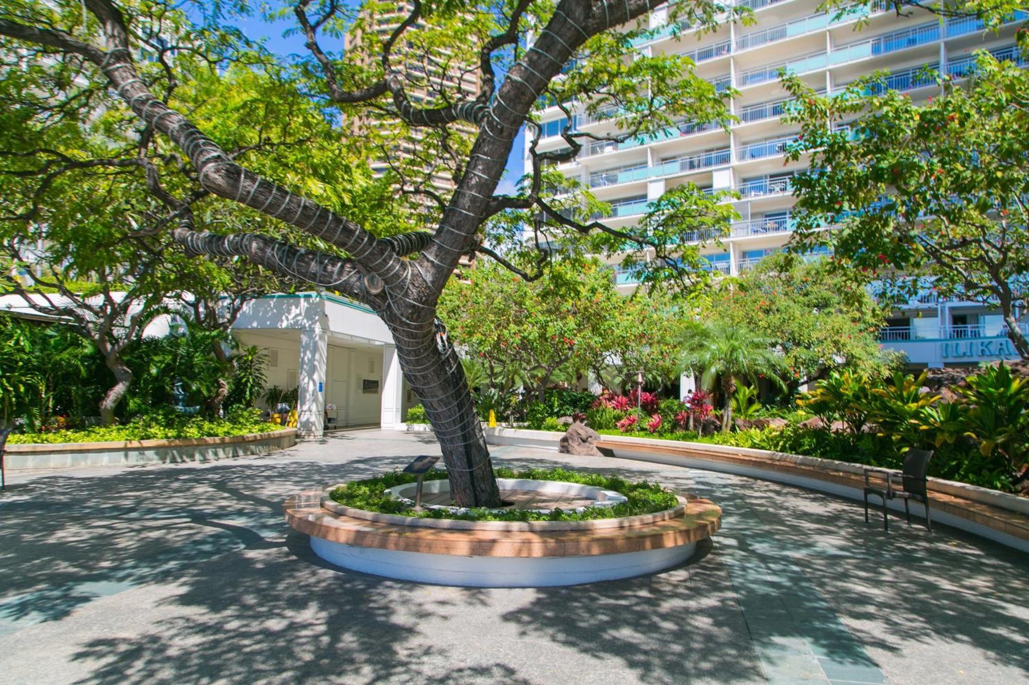 Ilikai Tower 2109 City View 2Br 檀香山 外观 照片